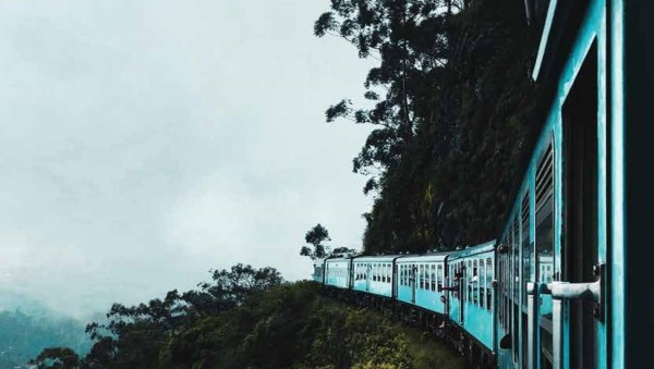 celebration land promotion